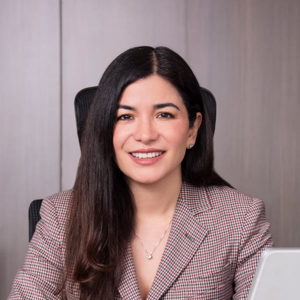 Viviana Araque Mendoza